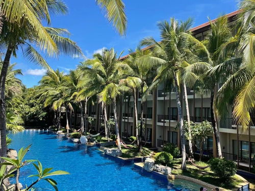 疫情2年后 旅游从业者过的如何