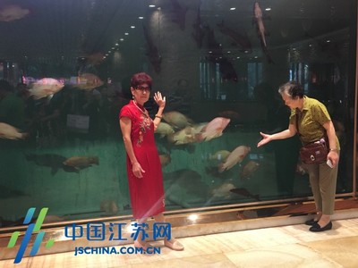 旅游公交专线正式开通 沪上近百家旅行社畅游海安