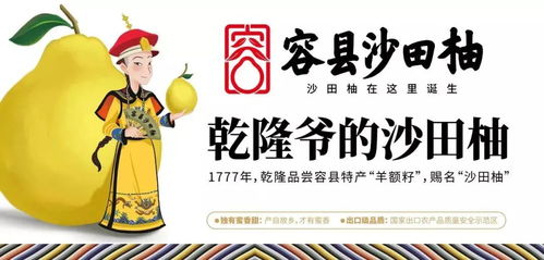 梦回唐朝杨贵妃，沙田有柚震乾隆——广西旅游年卡与旅发旅行社集团携手共谱文化之旅