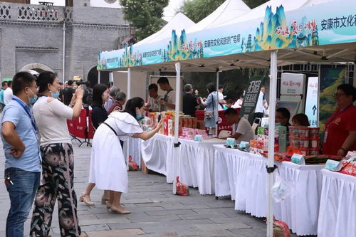 文旅协作谋发展 西安文旅对口帮扶陕南三市