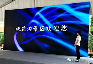 桃花沟景区应邀参加2018陕甘川景区旅行社旅游产品采购推介会并取得圆满成功